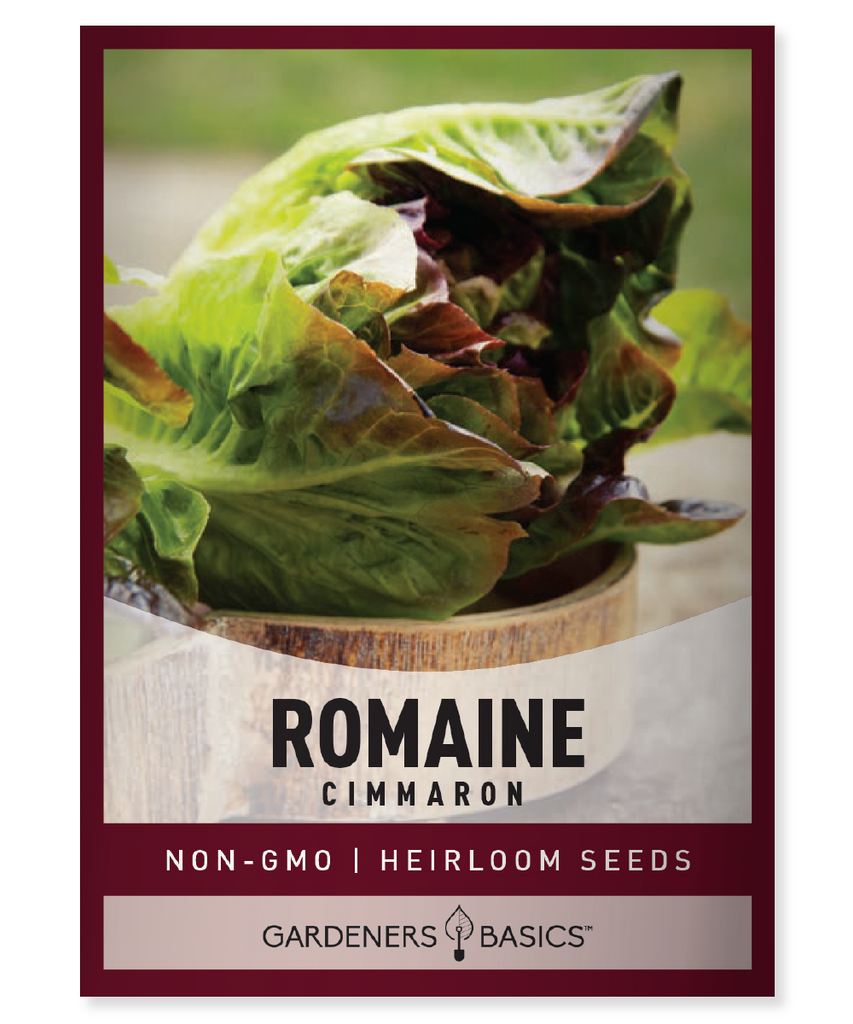 Cimmaron Romaine Lettuce Lettuce Seeds for Planting Heirloom Lettuce Seeds Non-GMO Seeds Home Gardening Grow Your Own Greens Healthy Salad Greens Nutrient-Rich Lettuce Romaine Lettuce Seeds Salad Garden Organic Gardening Fresh Produce Lettuce Varieties Cimmaron Romaine Garden Enthusiasts Sustainable Gardening Homegrown Lettuce Planting Lettuce Seeds Easy-to-Grow Greens Garden Harvest