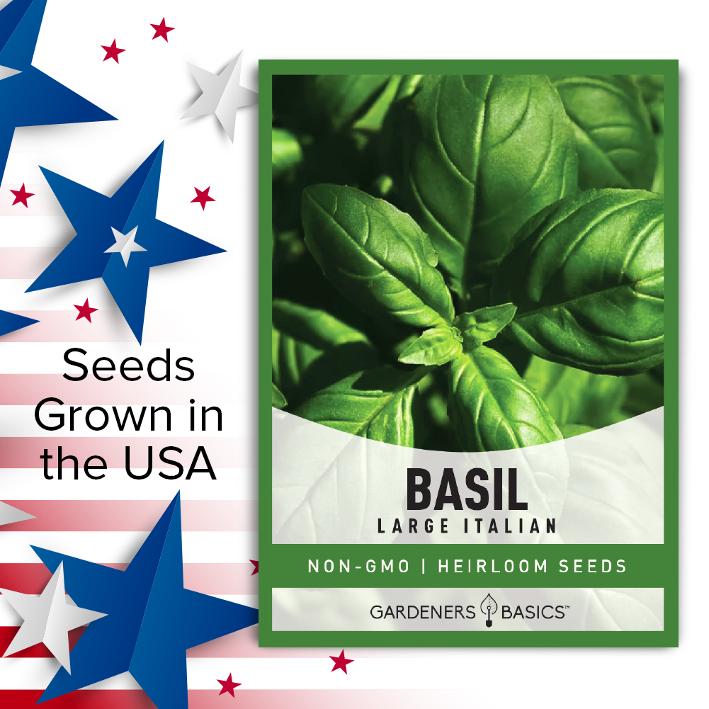 Heirloom Italian Large Leaf Basil Seeds - Experience the Richness of Italian Cuisine