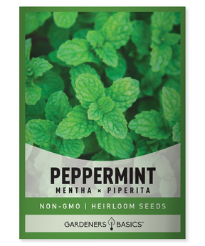 peppermint seeds, planting seeds, non-GMO seeds, organic seeds, peppermint plants, high germination rate, minty flavor, aromatic garden, herb garden, indoor garden, outdoor garden, easy to grow, garden enthusiasts, culinary creations, therapeutic benefits, peppermint leaves, superior seeds, garden transformation, grow your own peppermint