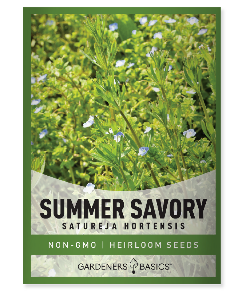 Summer Savory Seeds Seeds for Planting Home Garden Organic Seeds Non-GMO Seeds Aromatic Herb Flavorful Herb Gardening Grow Your Own Culinary Creations Pest Deterrent Pollinators Health Benefits Garden Health Easy-to-Grow Premium Quality Seeds Herb Garden Gardening Success Fragrant Aroma Culinary Oasis
