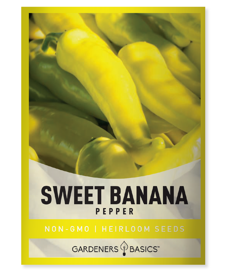 planting banana pepper seeds Sweet Banana Pepper Seeds