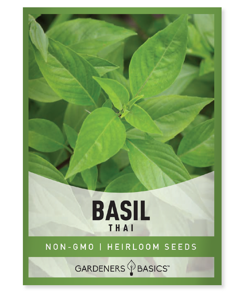 Thai basil seeds, grow your own herbs, aromatic herb garden, Ocimum basilicum var. thyrsiflora, non-GMO seeds, high germination rate, Thai cuisine, homegrown basil, culinary herbs