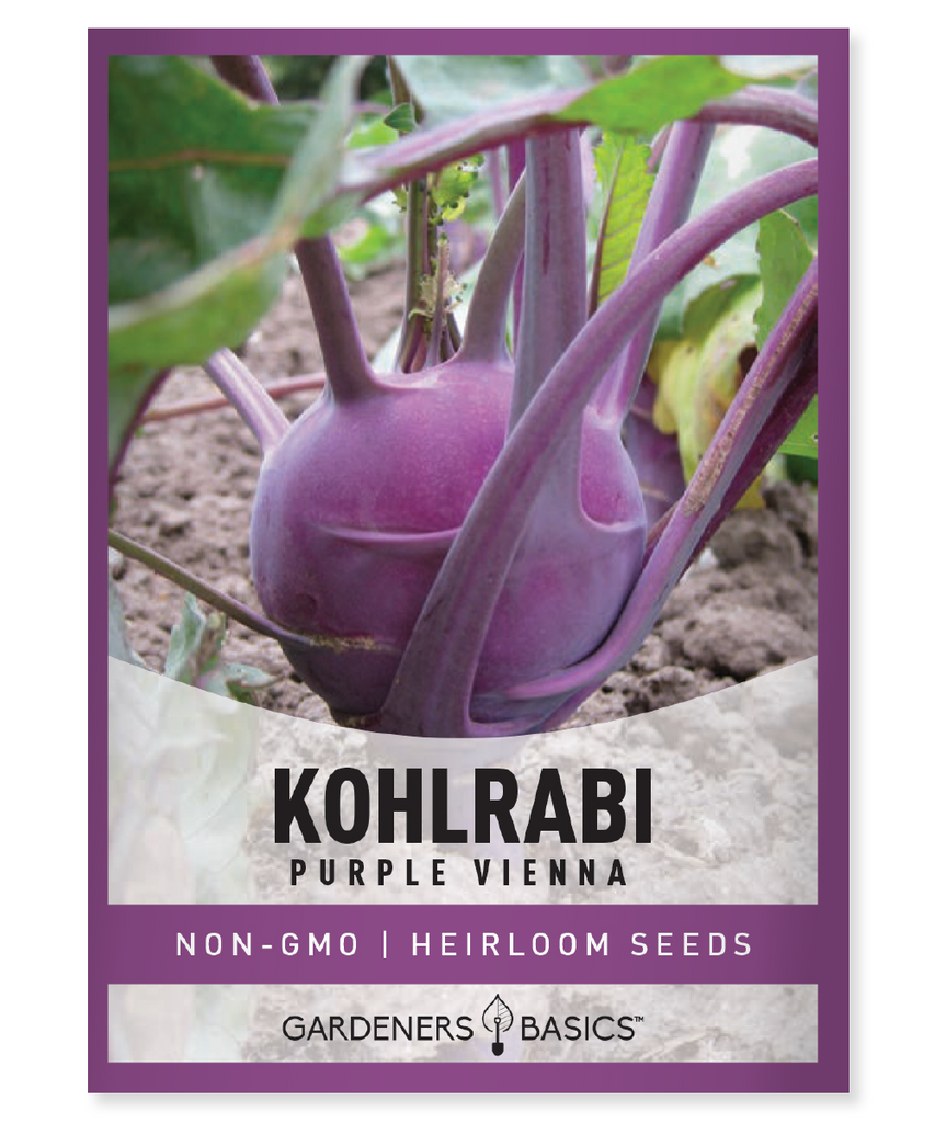 Purple Vienna Kohlrabi Seeds Non-GMO kohlrabi seeds Easy-to-grow vegetable seeds Nutrient-dense superfood High germination rate Home garden seeds Kohlrabi planting Sustainable gardening Environmentally friendly seeds Versatile culinary vegetable Healthy garden harvest Antioxidant-rich kohlrabi Vitamin-rich kohlrabi Kohlrabi health benefits Homegrown kohlrabi