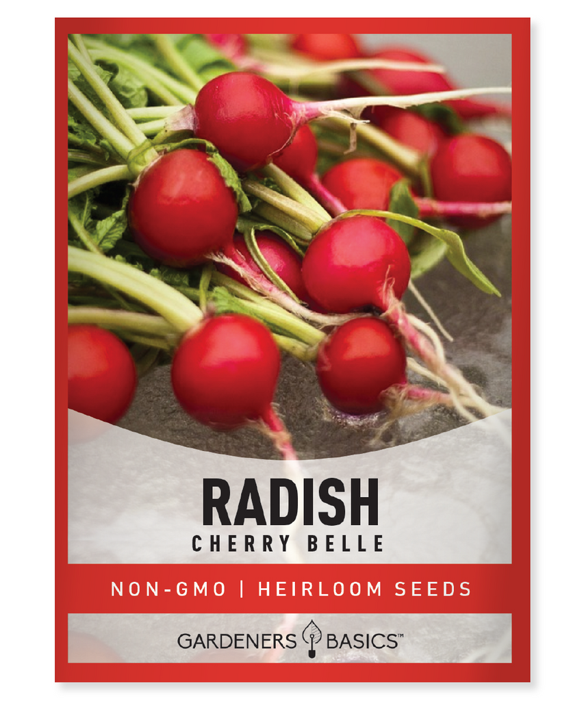 Cherry Belle Radish Seeds For Planting Non-GMO Seeds For Home Vegetable Garden