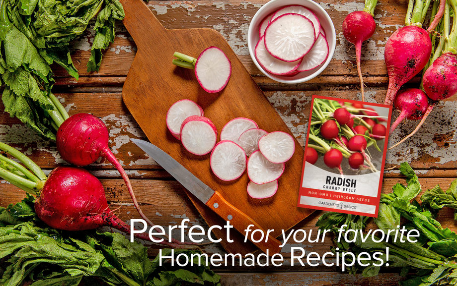 planting cherry belle radish seeds Cherry Belle Radish Seeds: The Secret to Delicious Homegrown Salads –  Gardeners Basics