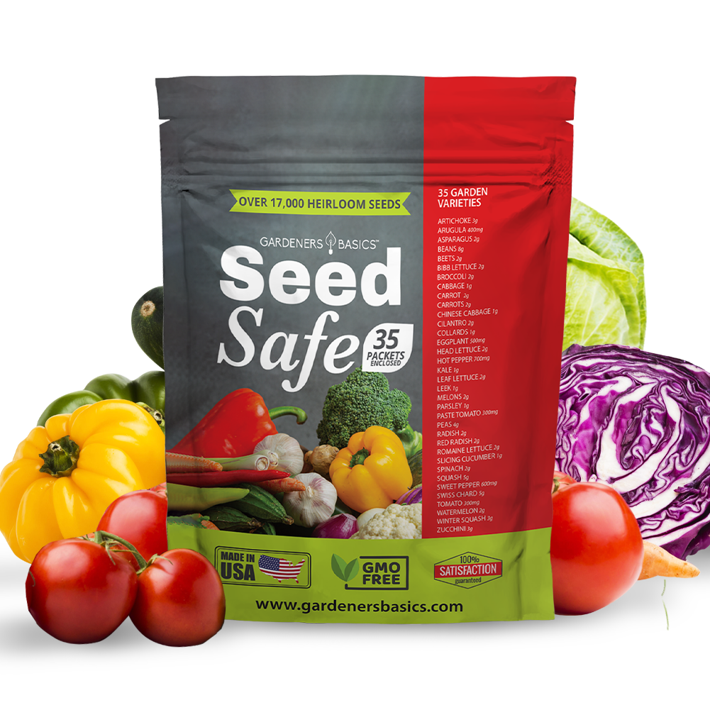 35 Types of Seed Safe Seeds for Long-term Survival