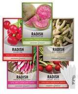 daikon raddish tape bell purple red bulk radiah eat korean conventional diakon sliced bunch wholesale cheap discount sale buy fresh plant plants live life lives seedlings