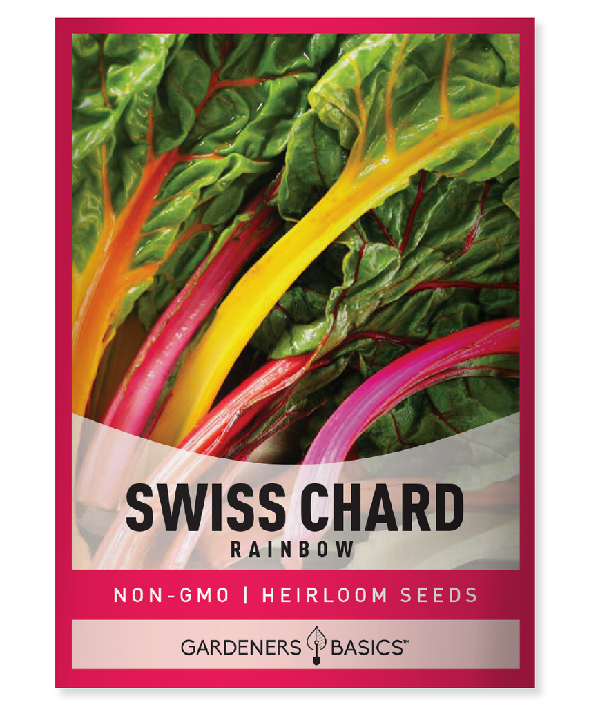 Rainbow Swiss Chard Seeds Swiss Chard Seeds for Planting Organic Swiss Chard Seeds Non-GMO Swiss Chard Seeds Colorful Swiss Chard Nutrient-Rich Greens Easy-to-Grow Swiss Chard Edible Garden Garden Staple Swiss Chard Planting Swiss Chard Harvest Healthy Garden Vibrant Swiss Chard Swiss Chard Varieties Container Gardening In-Ground Planting Cut-and-Come-Again Swiss Chard Swiss Chard Nutrition Rainbow Swiss Chard Recipes Garden Transformation