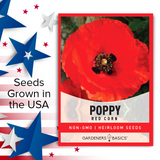 How to Grow Red Corn Poppy in Your Garden