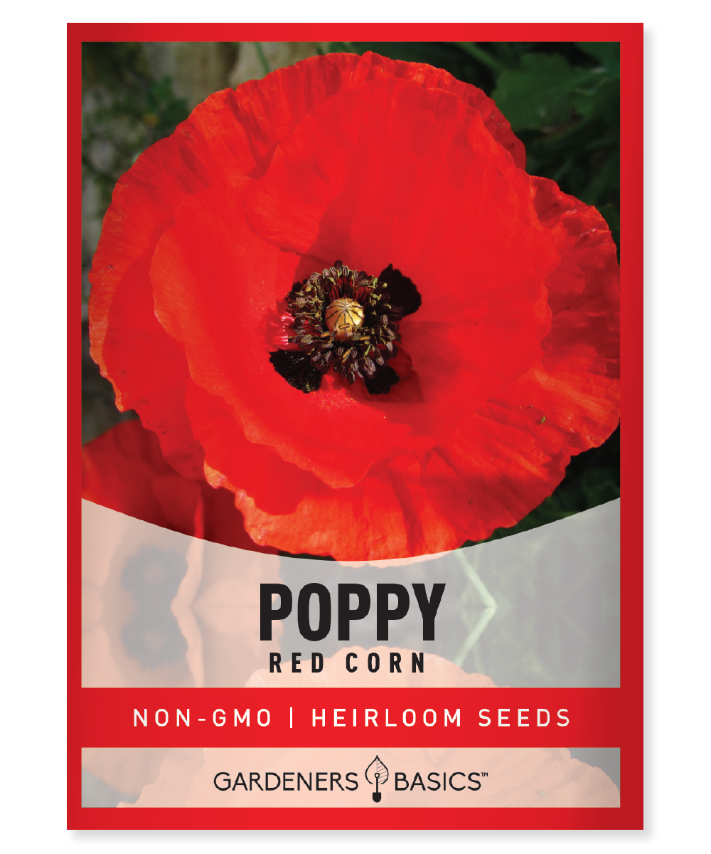 Red Poppy Favor Seed Favor Packet