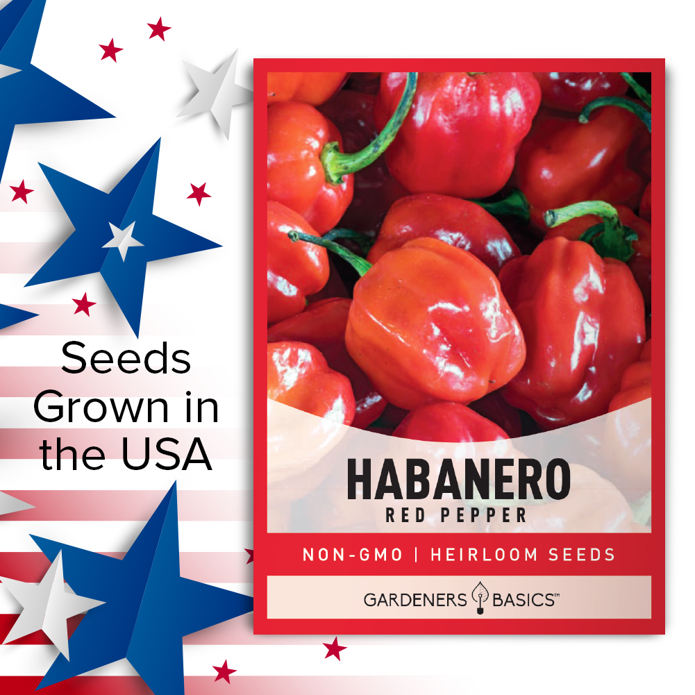 Top Quality Red Habanero Seeds: Elevate Your Homegrown Spicy Experience