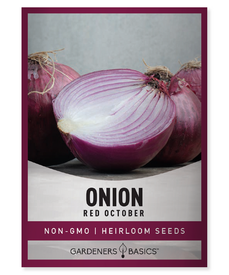 Red October Onion Seeds Onion Seeds Homegrown Onions Non-GMO Seeds Organically Grown Seeds Sweet Onions Flavorful Onions Easy-to-Grow Onions Garden Seeds Vegetable Garden High-Yielding Onion Seeds Long Storage Life Onions Red October Onions Onion Seed Germination Onion Cultivation