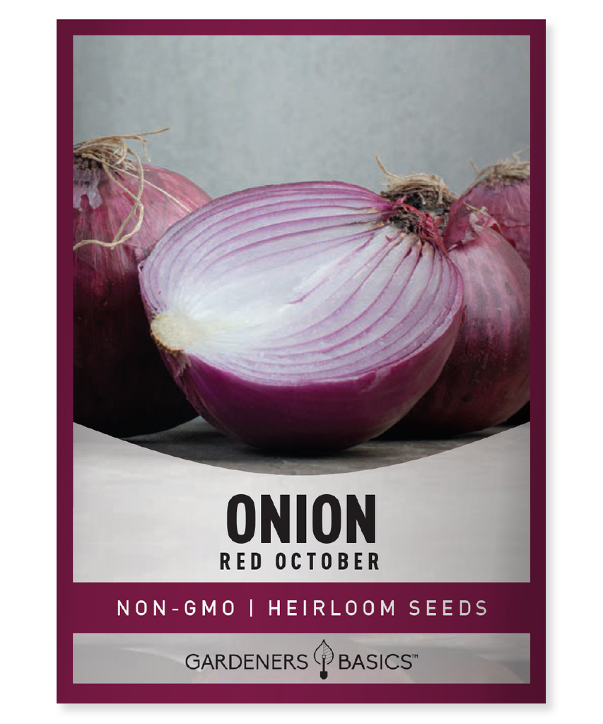 Red October Onion Seeds Onion Seeds Homegrown Onions Non-GMO Seeds Organically Grown Seeds Sweet Onions Flavorful Onions Easy-to-Grow Onions Garden Seeds Vegetable Garden High-Yielding Onion Seeds Long Storage Life Onions Red October Onions Onion Seed Germination Onion Cultivation