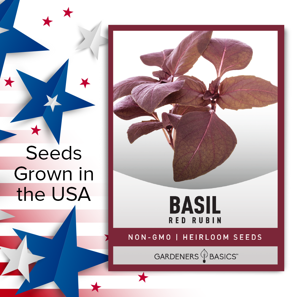 Top 5 Reasons Why You Should Try Red Rubin Basil Seeds