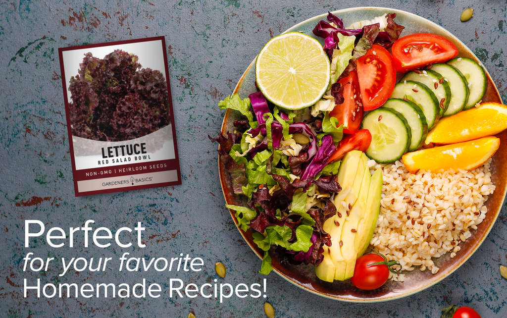 Easy-to-Grow Red Salad Bowl Lettuce Seeds for Gardeners of All Skill Levels