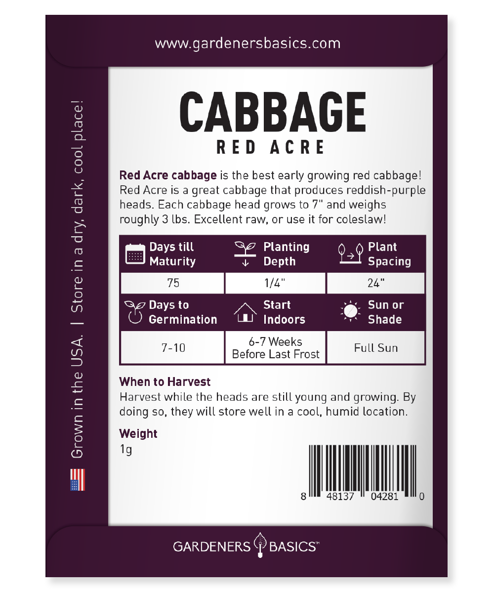 Premium Red Acre Cabbage Seeds - Grow Vibrant & Nutritious Cabbages at Home