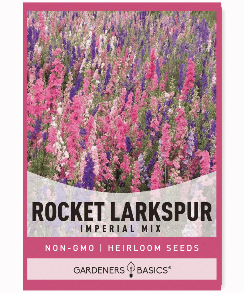 Rocket Larkspur Imperial Mix Delphinium consolida Annual Mixed colors Full sun Partial shade Reseeder Cut flower Wildlife garden Butterflies Hummingbirds Spires Pink Blue Lavender Rose White Summer