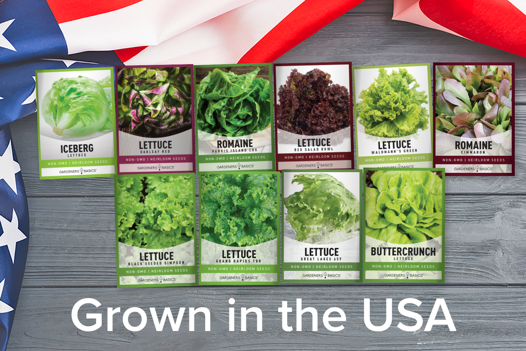 Variety is the Spice of Life: 10-Pack Lettuce Seed Set with Leaf and Head Options