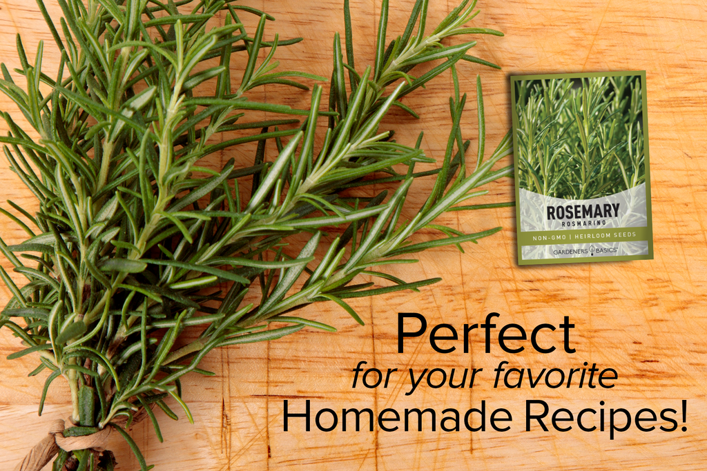 Rosemary Seeds for Planting: Experience the Health Benefits of Homegrown Herbs