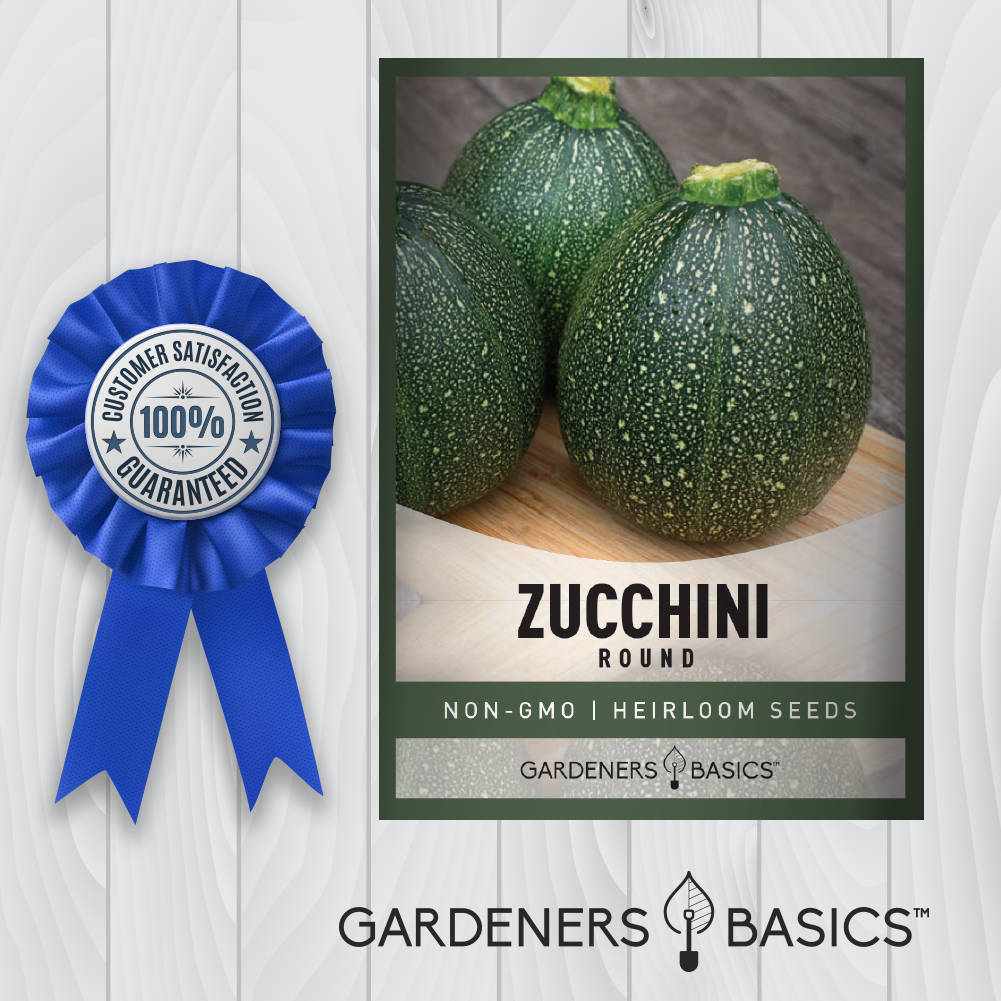 Round Zucchini Seeds - Transform Your Garden and Your Meals