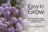 Royal Carpet Dwarf Sweet Alyssum: The Heirloom Purple Treasure for Gardeners