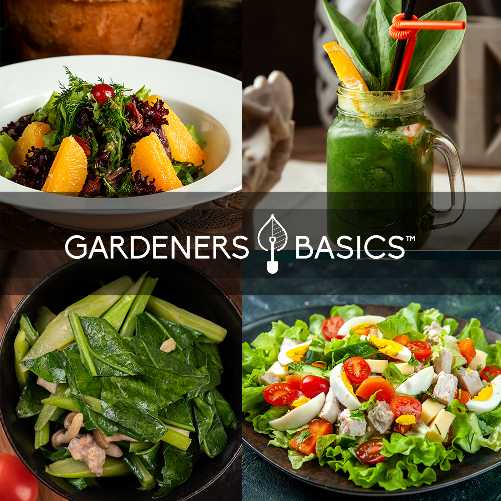 Salad Greens Starter Pack - 8 Seed Varieties to Plant