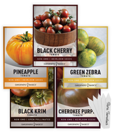 cherry tomato plant seeds tomato tomatoes seeds for planting tomato seeds bulk tomato seeds for planting indoors tomato seeds for planting outdoors cherry tomatoes seeds amish paste tomato seeds gifts for gardeners victory garden vegetable tomate