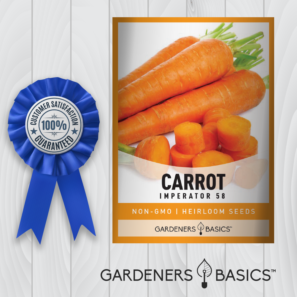 Sow, Grow, and Harvest Imperator 58 Carrots for a Healthy Lifestyle