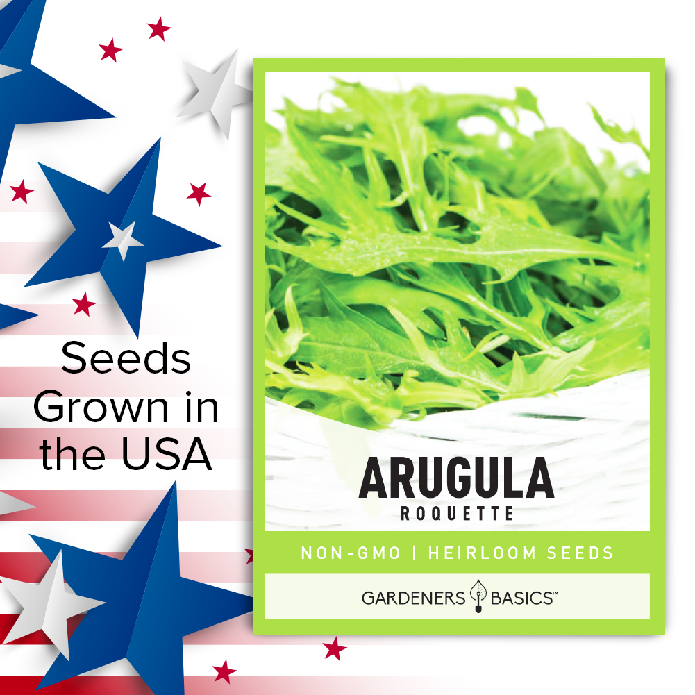 Roquette Arugula Seeds For Planting Non-GMO Seeds For Home Vegetable Garden USA