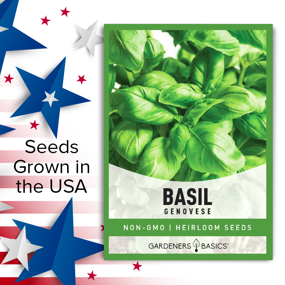 Genovese Basil Seeds For Planting Non-GMO Seeds For Home Herb Garden USA
