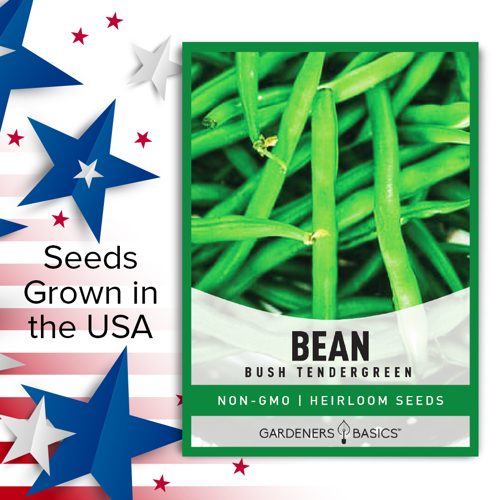 Bush Tendergreen Bean Seeds For Planting Non-GMO Seeds For Home Vegetable Garden USA