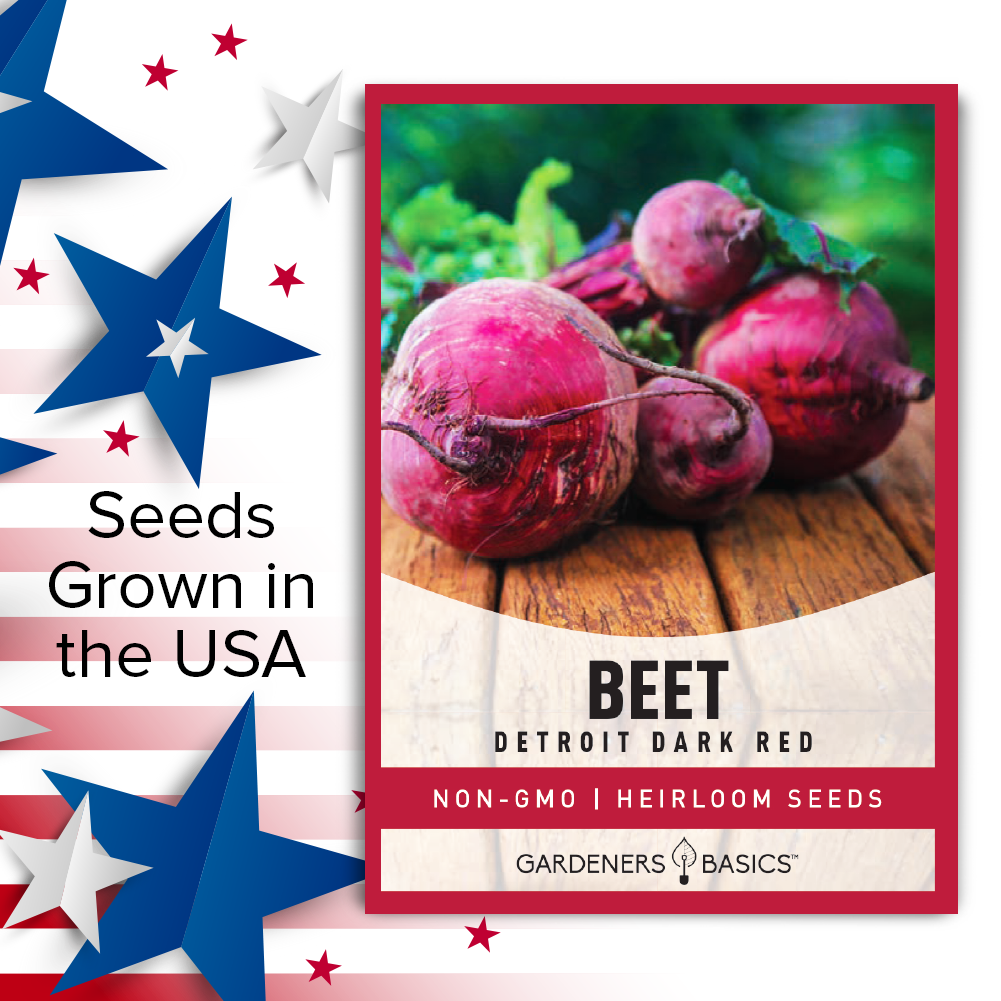 Detroit Dark Red Beet Seeds For Planting Non-GMO Seeds For Home Vegetable Garden USA