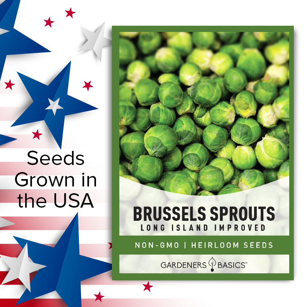 Long Island Improved Brussels Sprouts Seeds For Planting Non-GMO Seeds For Home Vegetable Garden USA