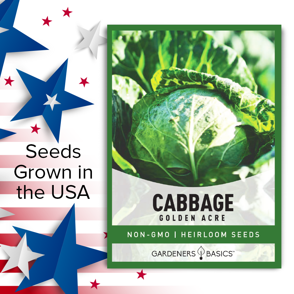 Golden Acre Cabbage Seeds For Planting Non-GMO Seeds For Home Vegetable Garden USA