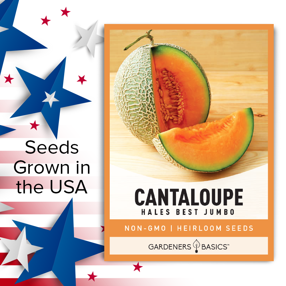 Hales Best Jumbo Cantaloupe Seeds For Planting Non-GMO Fruit Seeds For Home Fruit Garden USA