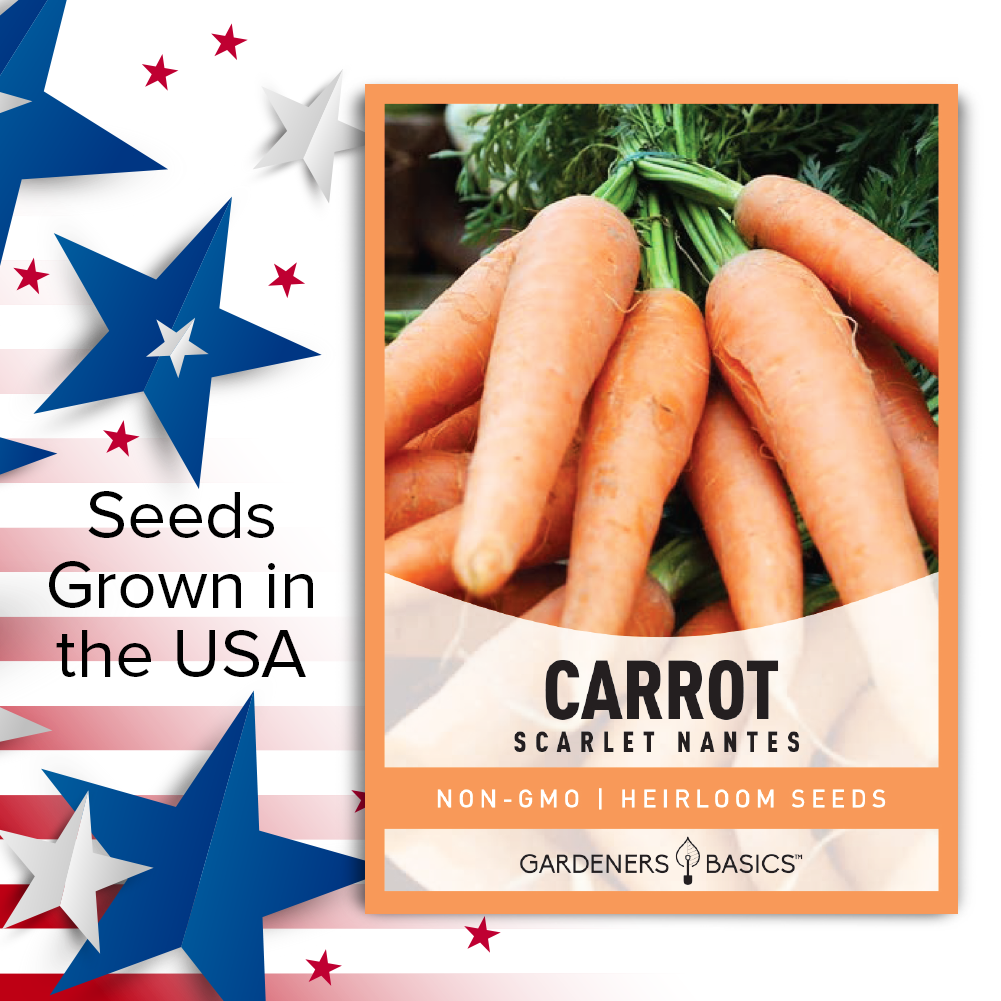Scarlet Nantes Carrot Seeds For Planting Non-GMO Seeds For Home Vegetable Garden USA