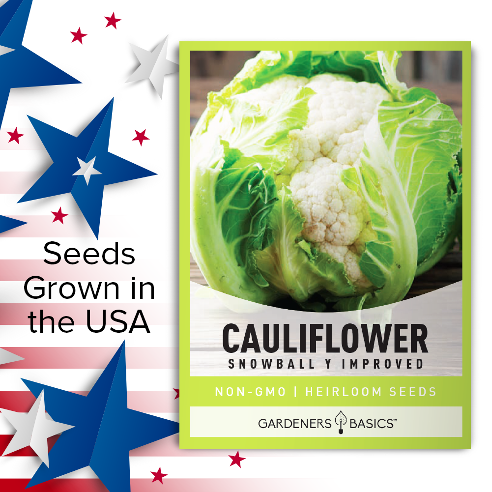 Snowball Y Improved Cauliflower Seeds For Planting Non-GMO Seeds For Home Vegetable Garden USA
