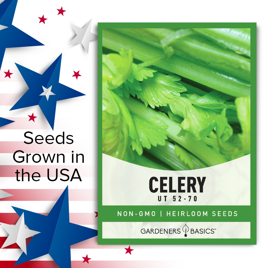 Utah 52-70 Celery Seeds for Planting: Grow Crisp, & Flavorful Celery –  Gardeners Basics