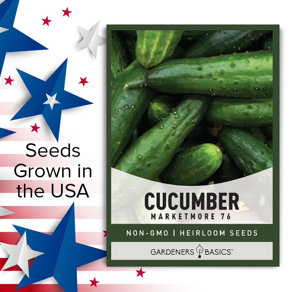 Marketmore 76 Cucumber Seeds For Planting Non-GMO Seeds For Home Vegetable Garden USA
