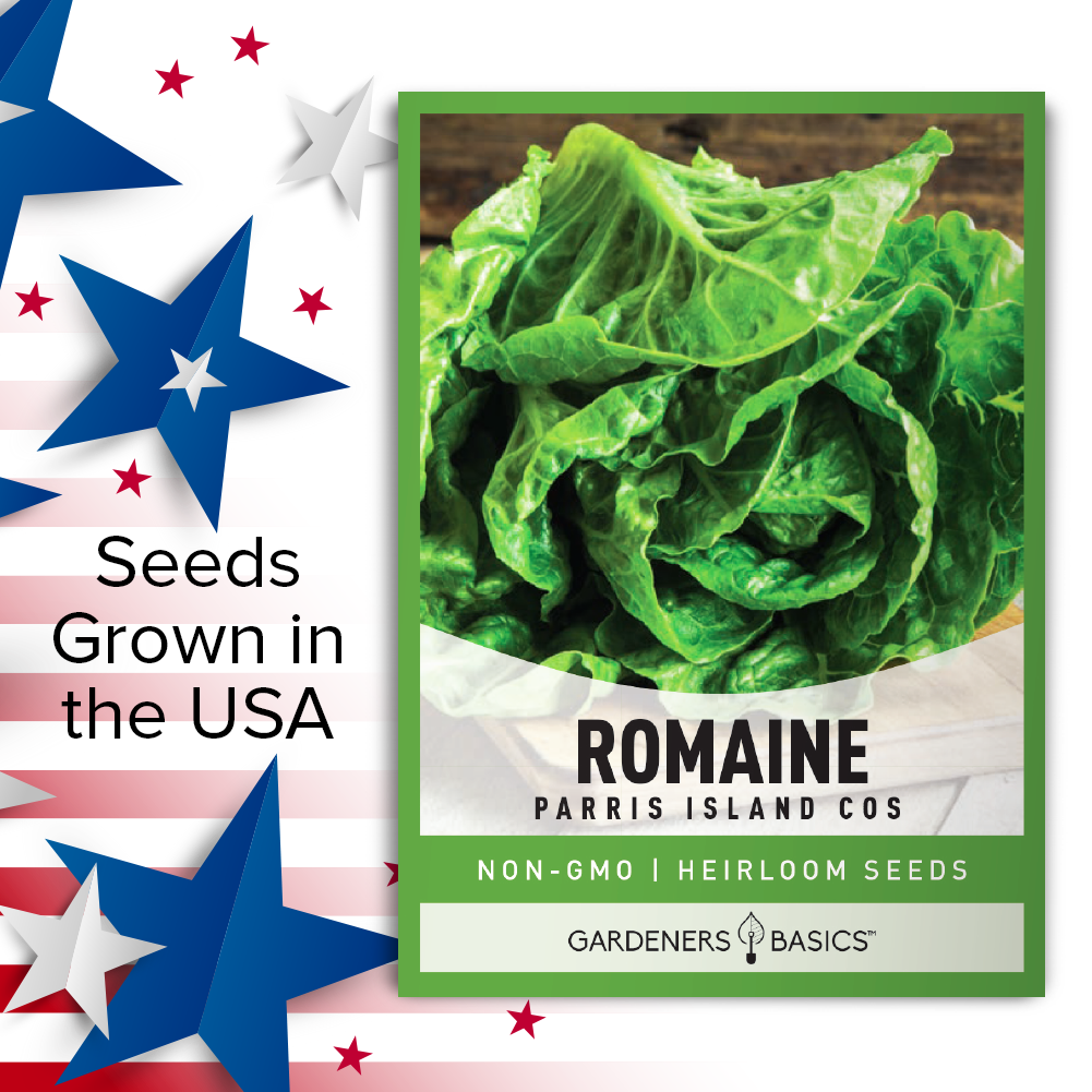 Parris Island Romaine Lettuce Seeds For Planting Non-GMO Seeds For Home Vegetable Garden USA