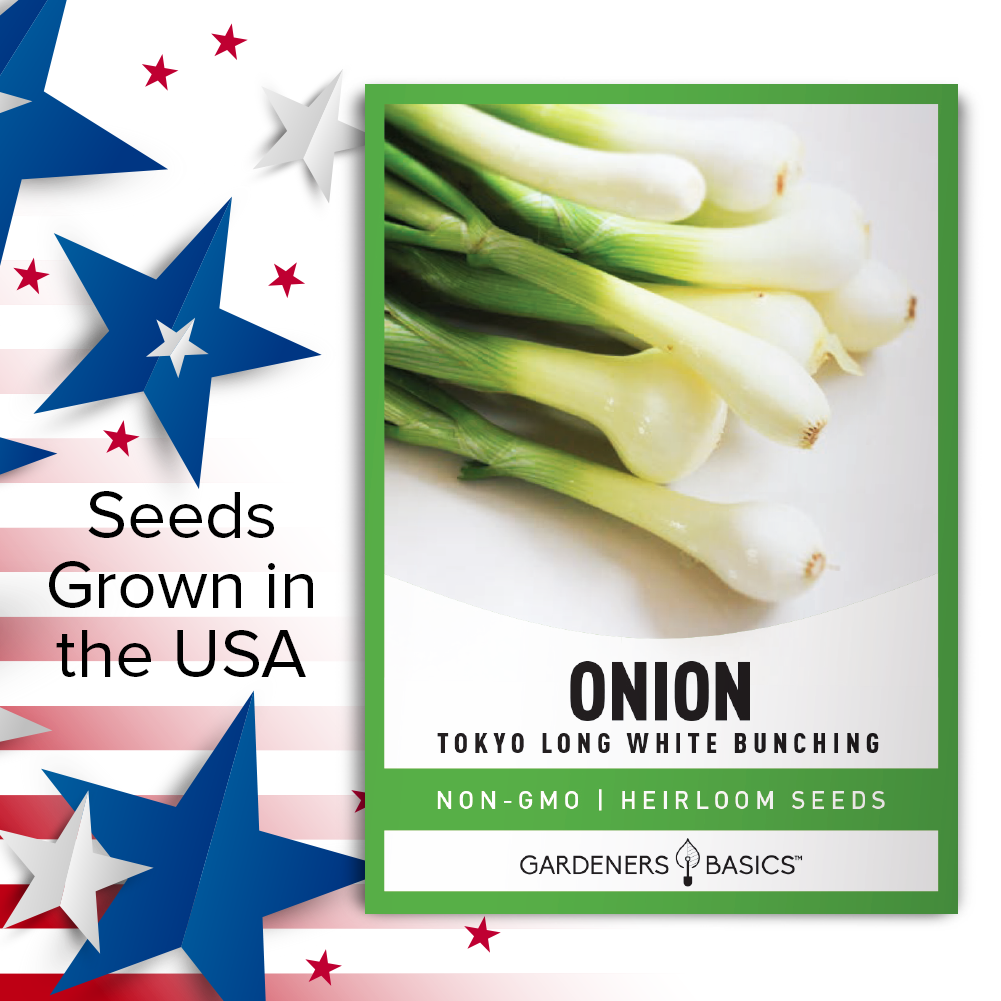 Tokyo Long White Bunching Onion Seeds For Planting Non-GMO Seeds For Home Vegetable Garden USA