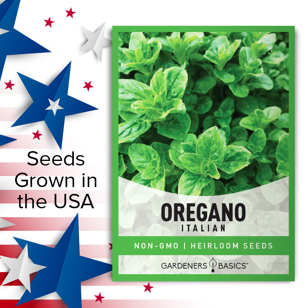 Italian Oregano Seeds For Planting Non-GMO Seeds For Home Herb Garden USA