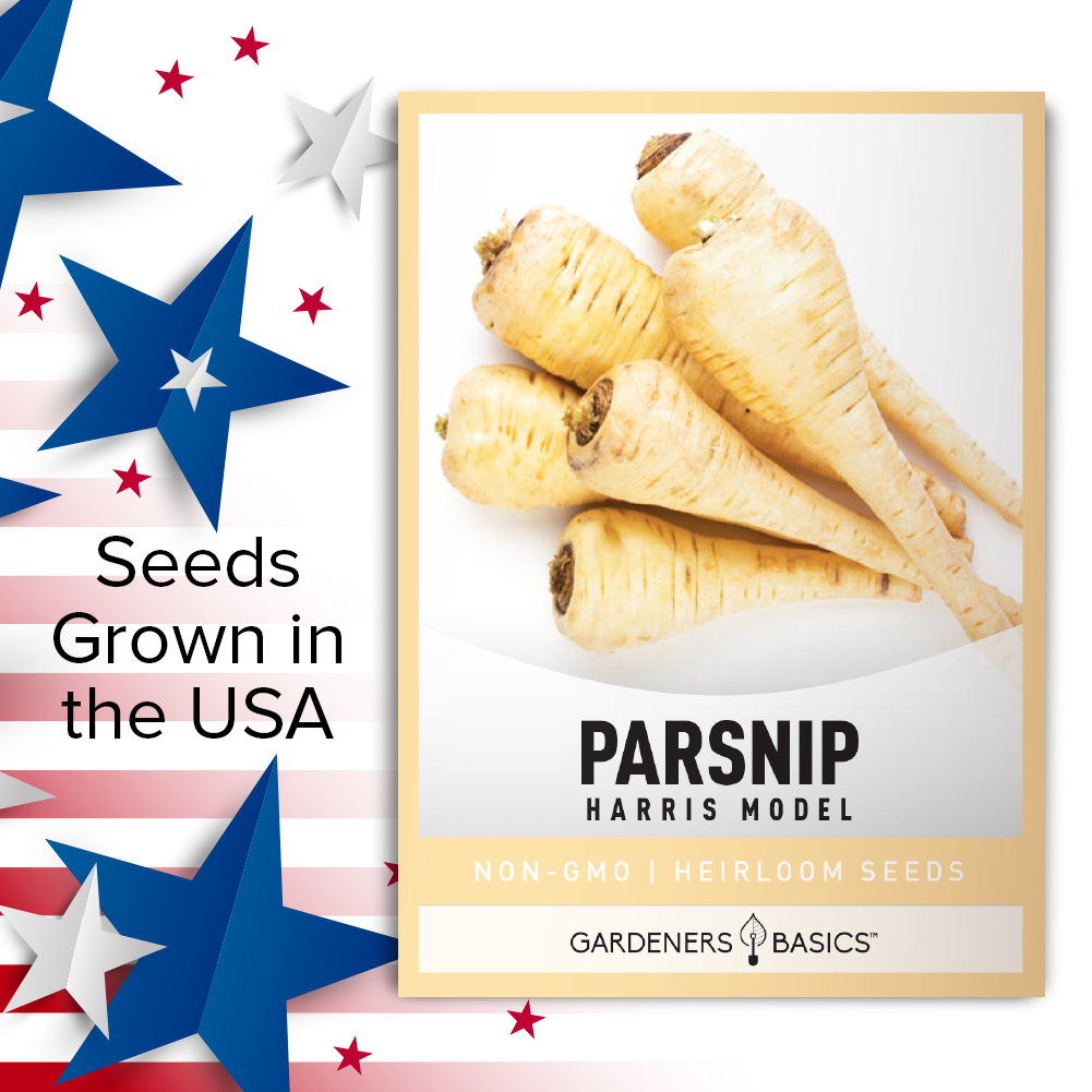 harris garden seeds Harris Model Parsnip Seeds For Sale: Delicious & Nutritious Parsnips – Gardeners Basics