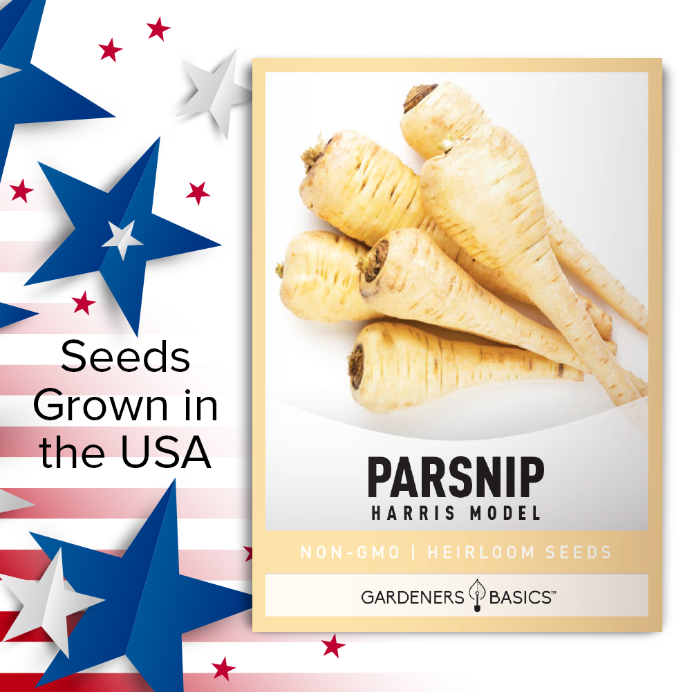 Harris Model Parsnip Seeds For Planting Non-GMO Seeds For Home Vegetable Garden USA