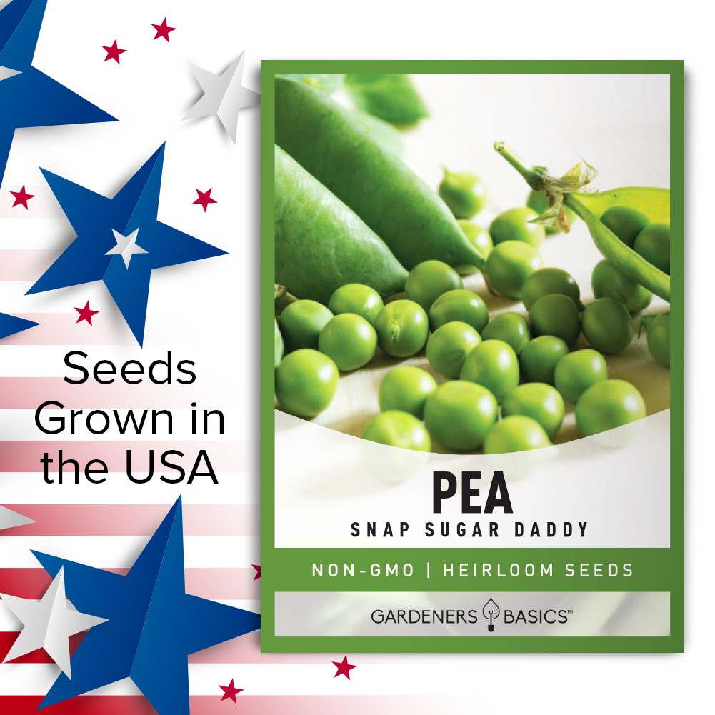 Snap Sugar Daddy Pea Seeds For Planting Non-GMO Seeds For Home Vegetable Garden USA