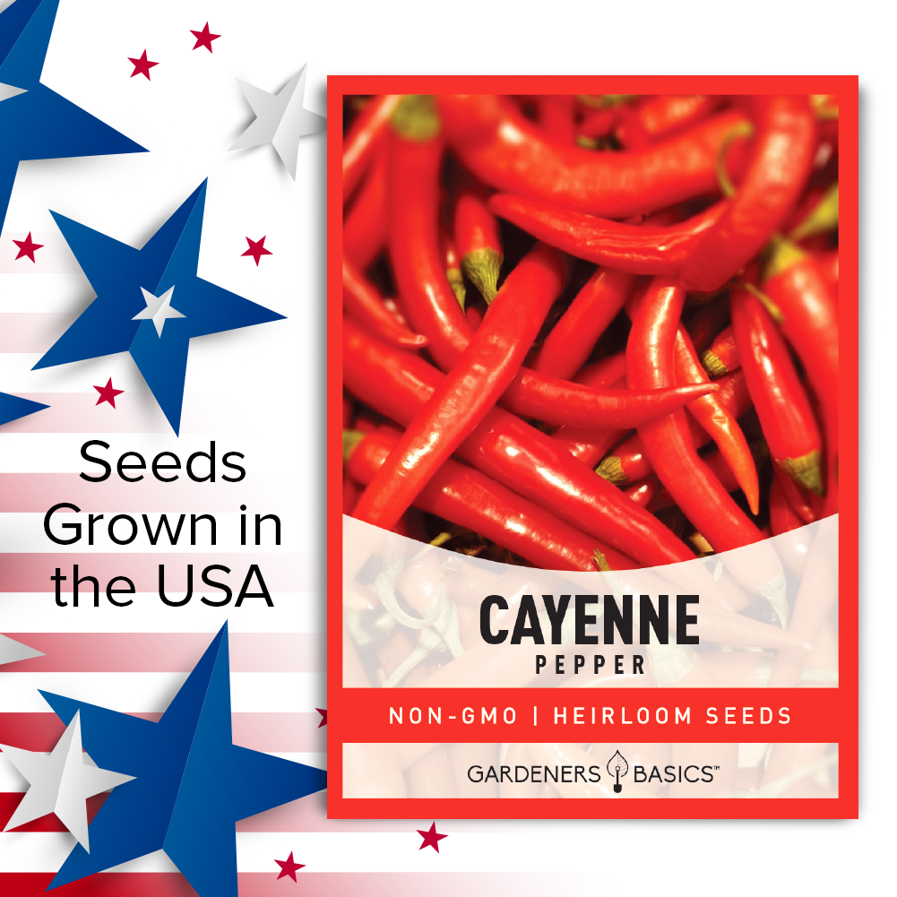 Cayenne Pepper Seeds For Planting Non-GMO Seeds For Home Vegetable Garden USA