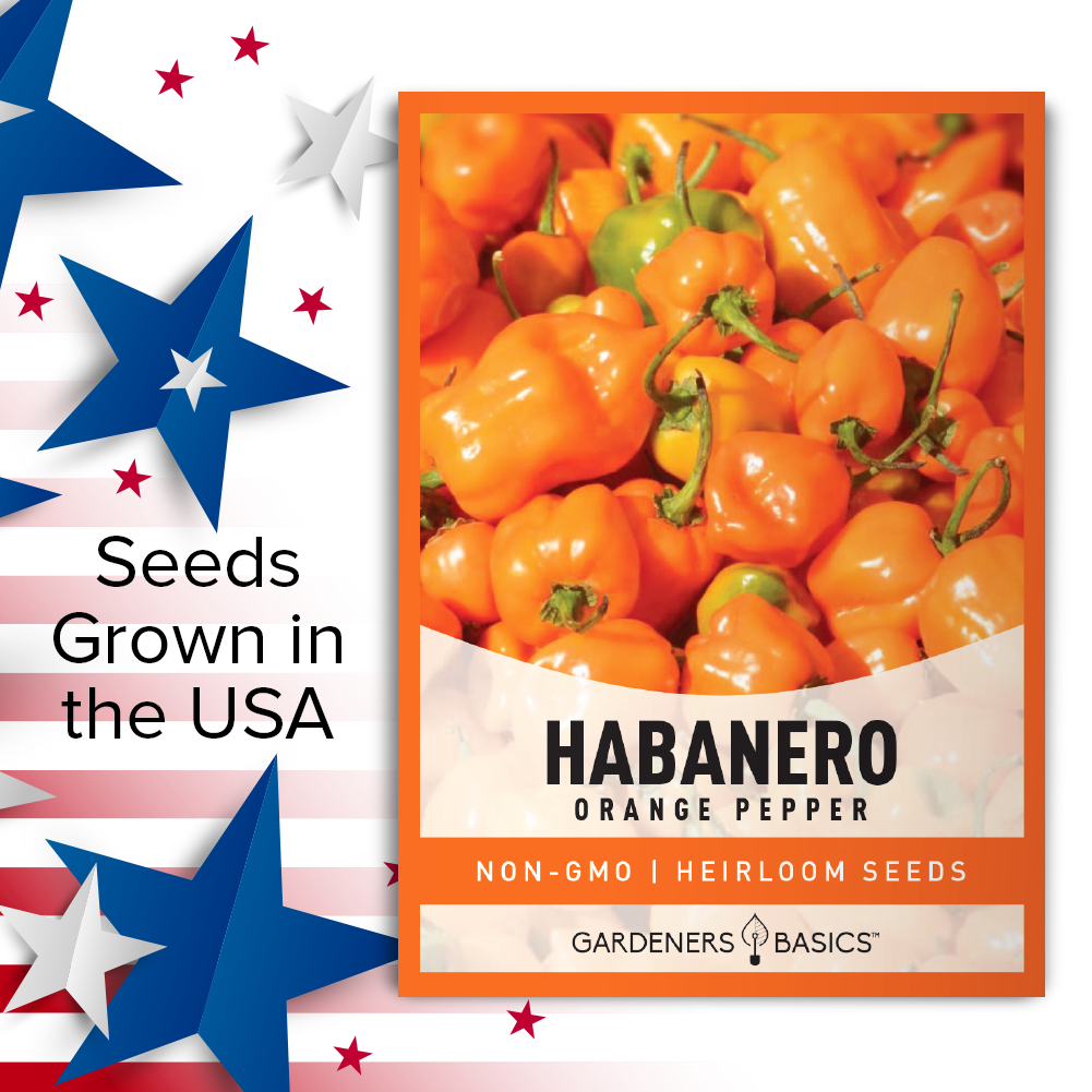 Orange Habanero Pepper Seeds For Planting Non-GMO Seeds For Home Vegetable Garden USA