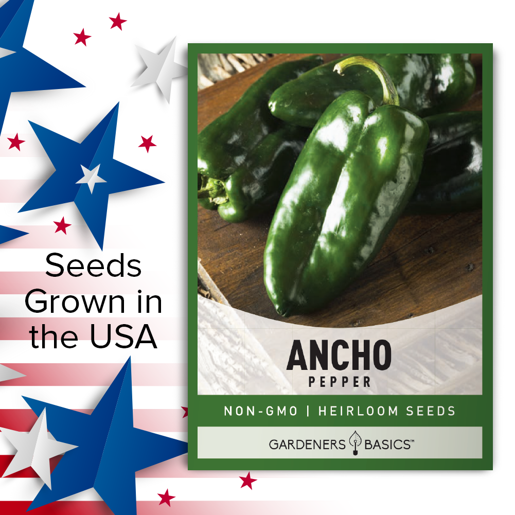 Ancho Pepper Seeds For Planting Heirloom Non-GMO Vegetable Home Garden Seeds USA