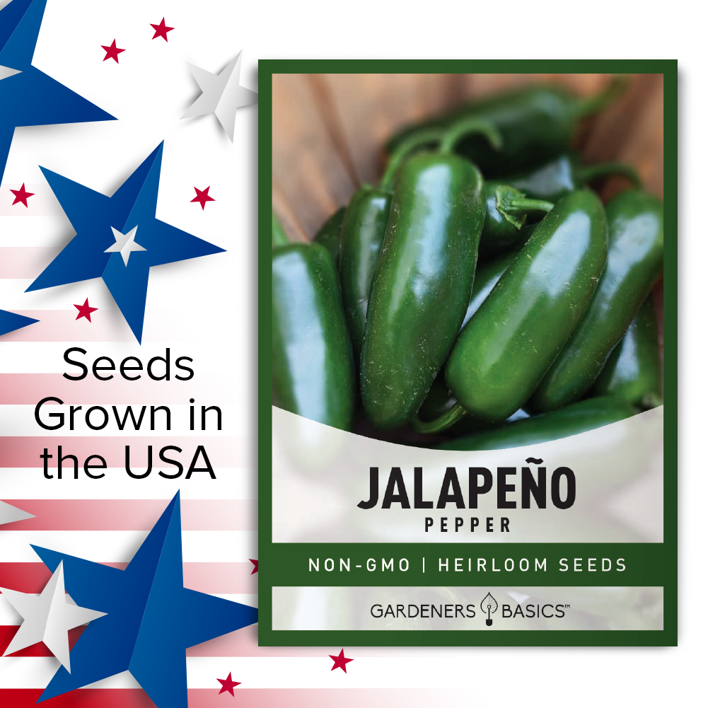 Jalapeno Pepper Seeds For Planting Non-GMO Seeds For Home Vegetable Garden USA
