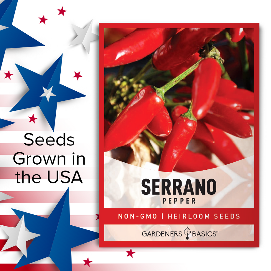 planting serrano pepper seeds Serrano Pepper Seeds – Gardeners Basics